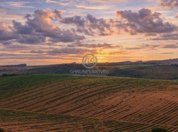 Propriedade rural completa com 67,3 ha, água abundante, altitude nobre e estrutura pronta para produção. · Fazenda de Café à Venda em Oliveira-MG | 67,3 ha e Irrigação