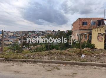 9bd50929-2c25-47ec-92fe-c0666645f867.webp · Terreno à Venda, Vila das Flores, Betim