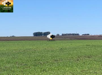 Rural · 472ha · A Venda Fazenda em Alegrete Excelente Área Agrícola