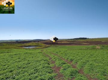 Rural · 60ha · A Venda Área Rural para Lavoura São Francisco de Paula/RS
