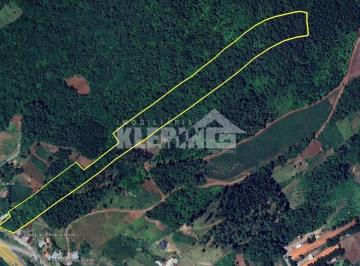 Rural · 36000m² · Área à venda no bairro Piedade - São Vendelino/RS