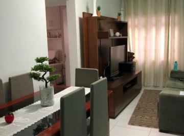 Foto 37 · Apartamento 1 dormitório Térreo com amplo quintal