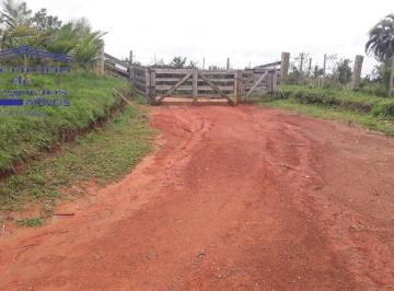 Foto 03 · Sítio à venda em Sentinela do Sul-RS, bairro Cerro Chato: 3 quartos, 2 salas, 2 banheiros, 3 vagas d