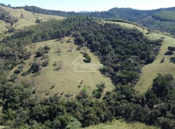 tjazq02ytg0ogu0zty5n2jl_md · 🌿 TERRENO DE 2,5 ALQUEIRES À VENDA 🌿
