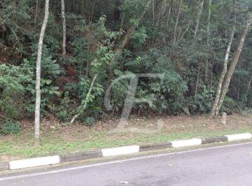 e09e1037fdff47f1cfa524b8ee621878b6a97418 · Terreno à venda, 1000 m² por R$ 400.000,00 - Residencial Cantareira - Mairiporã/SP