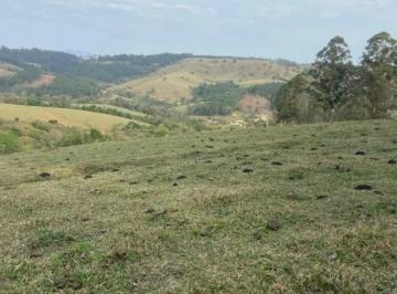 834804a31174f54ffa698994e8770258717f80c2 · Excelente terreno em Pinhalzinho 17,515 hactares rico em água, com escritura registrada aceita negoc