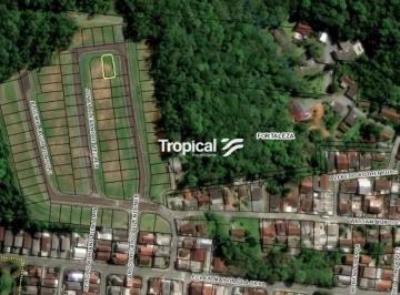 5a17e6662c6846ed103c65560b4c701a6c1026c3 · Terreno à venda, 250 m² por R$ 250.000,00 - Fortaleza - Blumenau/SC