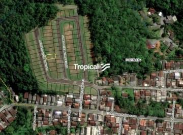 08337ad9b14d8aa624c3273ea9543ab3bde7166a · Terreno à venda, 250 m² por R$ 250.130,00 - Fortaleza - Blumenau/SC