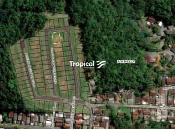 b564cfaabdcb03bd814341508093ca21c7a23d37 · Terreno à venda, 370 m² por R$ 370.350,00 - Fortaleza - Blumenau/SC