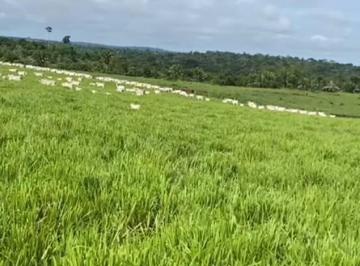 Imagem 1 · Terreno para venda em Centro, Chupinguaia