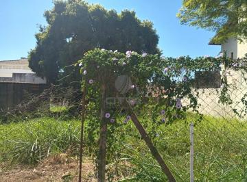 0 · terreno à venda em Nova Campinas