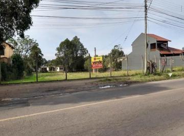 Foto 01 · Terreno - São Tomé