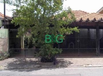 e89732a9e859ce0739cccb4ef662e1b52326ac8a · Terreno à venda, 260 m² por R$ 560.000,00 - Jardim Maria Estela - São Paulo/SP