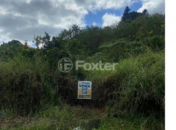 9c3e711dc7992002fbe1482b733fed67.jpg · Terreno, 1200 m², em Rondônia