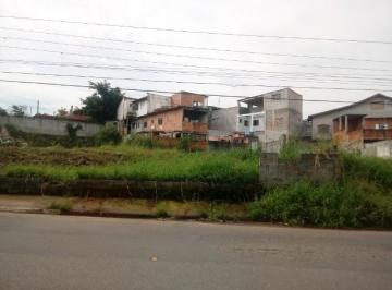 Foto 01 · Terreno - Casa Branca