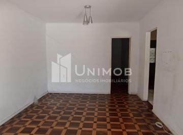 0 · casa para aluguel em Nova Campinas