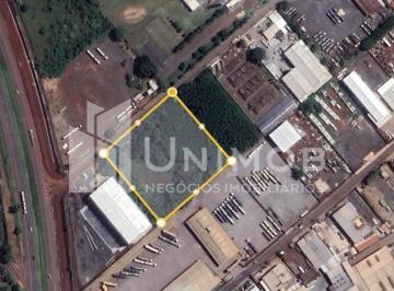0 · área à venda em Santa Terezinha