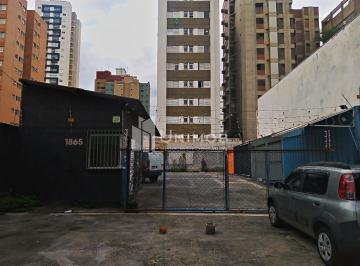 0 · terreno para aluguel em Cambuí