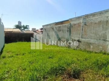 0 · terreno à venda em Nova Campinas