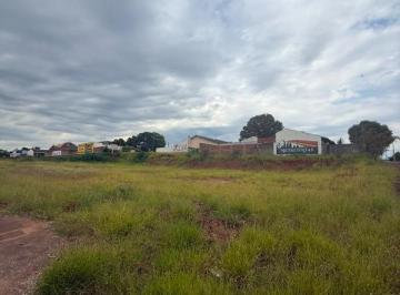 Foto 01 · Terreno, Jardim São Jorge, Paranavaí, PR