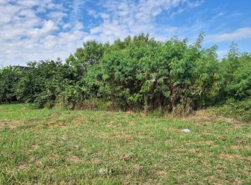 Terreno · 3100m² · Oportunidade - Terreno - Jardim Jacinto - Jacareí - 3.100m².