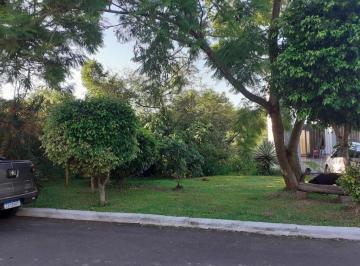 img0 · IEJP 130 Lote TE0019