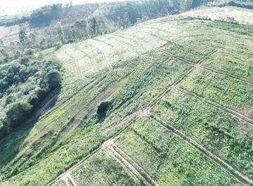 202608251914341568.jpg · Terreno para Venda em Toledo