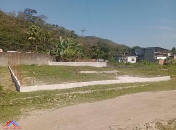 Foto 08 · Terreno - Britador (Santo Aleixo)