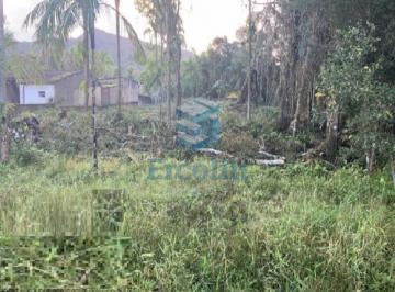 Foto 01 · TERRENO A VENDA EM IGUAPE BAIRRO ICAPARA IGUAPE POR R$ 80.000,00