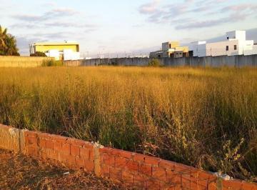 Foto 02 · Terreno - Parque Campolim