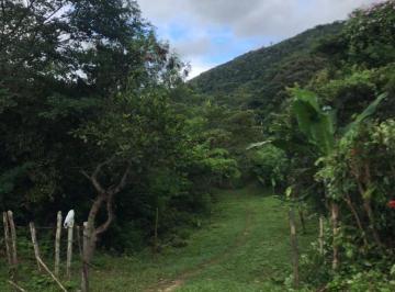 Rural , Maranguape · Imóvel rural de 1000000 m² em venda em Maranguape