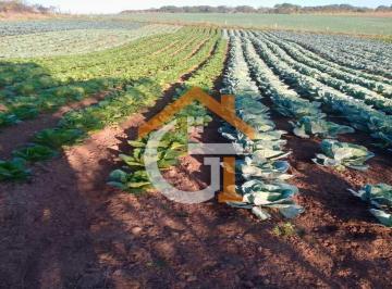 Rural · 60m² · 2 Quartos · 2 Vagas · Área Rural Chácara Produtiva com Casa — Ribeirão Vermelho, Quitandinha
