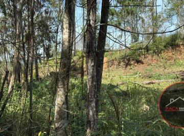 56bceb6579b799f4ef00de9a813c9c899e797b00 · Terreno à venda, 5000 m² por R$ 290.000 - Estância Angelina - Suzano/SP
