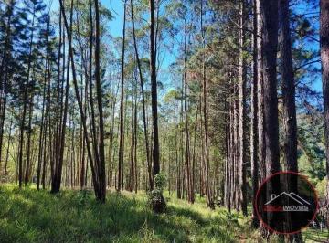 576844935dfd3a0247055b81d0ded2d10862ee59 · Sítio à venda, 648000 m² por R$ 800.000,00 - Quatinga - Mogi das Cruzes/SP