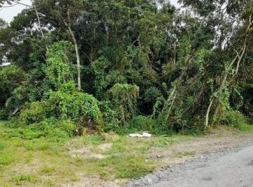 Terreno · 914m² · Terreno em Praia de Leste Proximo ao Bavaresco