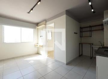 Apartamento · 34m² · 2 Quartos · 1 Vaga · Apartamento para Aluguel - Cambuci, 2 Quartos, 34 m2 - São Paulo