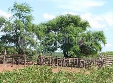 Rural · 562ha · 1 Quarto · Fazenda em Afonso Bezerras 562 Ha