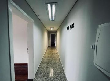 IMG_20260929_090138_000.jpeg · Elegante galpão industrial para locação em Imirim, 500m² - mlimaoscar#I738V