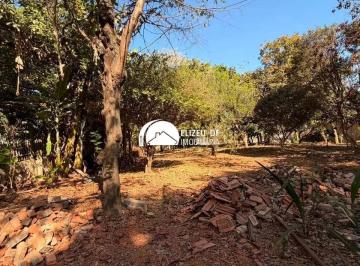 e665bd211e0482149d581a017f91c5ec.jpg · Elizeu Imóveis vende terreno com 300 metros em Arniqueiras - TE1837
