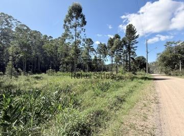 Rural · 5000m² · Terreno Rural para Chácara