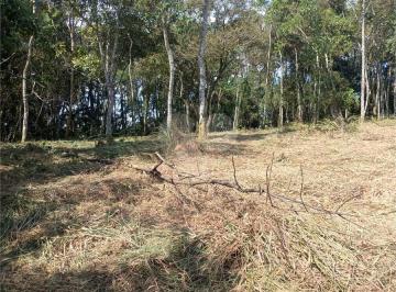 Terreno · 7000m² · Loteamento à venda em Roseira - SP