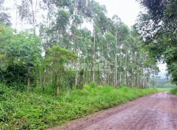 Rural · 19000m² · Área à venda no bairro Canto do Rio - Bom Princípio/RS