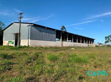 Comercial · 10000m² · Comercial à venda - em Eucaliptos