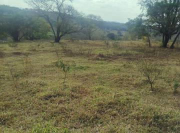fazenda-sitios-chacaras-em-itapecerica-mg-no-bairro-zona-rural-imovel446385-img6a8b75a12cb14.jpg · Fazenda / Sítios / Chácaras à venda em Itapecerica, no bairro Zona Rural