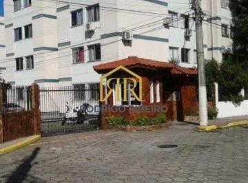 2382_i1T2Ry_23826a8cbdbf99d07.jpg · Imoveis - em Trindade