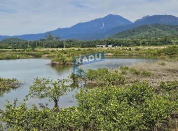 Rural · 610000m² · 1 Quarto · FAZENDA À VENDA COM  61 hectares - Infraestrutura