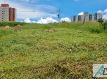 terreno-a-venda-em-jundiai-jardim-petropolis-21080195100cb05ed6190c250991e6db6c93.jpeg · Terreno à venda em Jundiaí, Jardim Petrópolis, 175m²