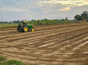 Terreno , Mairinque · Terrenos Planos em MAIRINQUE de 1.000m² para construir chácara!