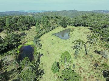 rqat011-1 · Área de 13,4 hectares com frente para a BR-282 no centro de Rancho Queimado