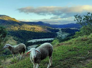 urat001-1 · Área rural de 13,7 hectares em Urubici com vista para as montanhas